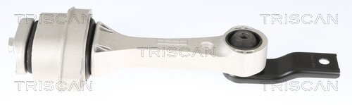 TRISCAN Lagerung, Motor