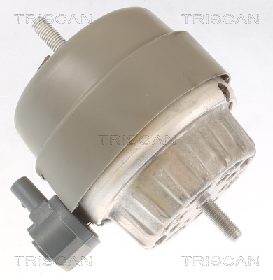 TRISCAN Lagerung, Motor