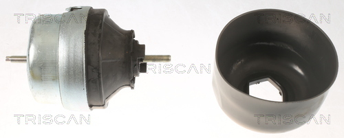 TRISCAN Lagerung, Motor