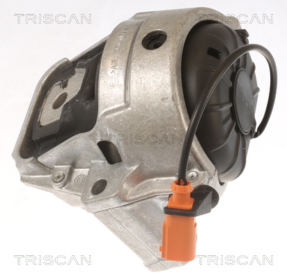 TRISCAN Lagerung, Motor