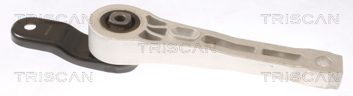 TRISCAN Lagerung, Motor