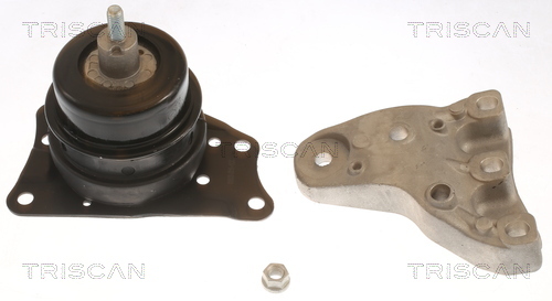 TRISCAN Lagerung, Motor