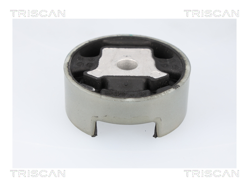 TRISCAN Lagerung, Motor
