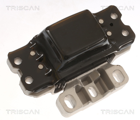 TRISCAN Lagerung, Motor