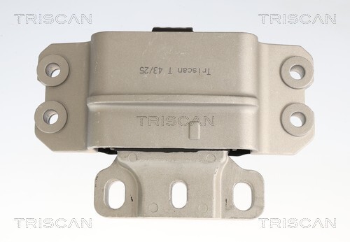 TRISCAN Lagerung, Motor