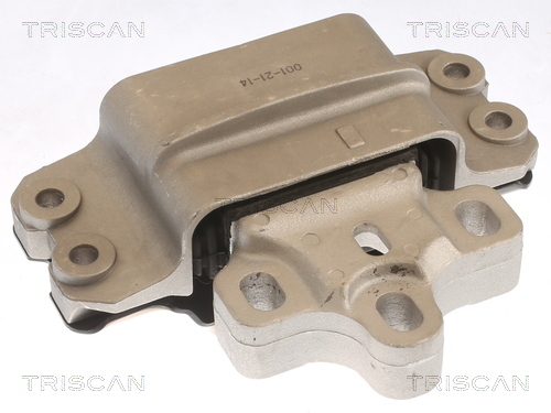 TRISCAN Lagerung, Motor