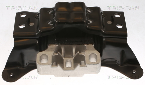 TRISCAN Lagerung, Motor