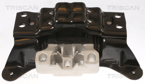 TRISCAN Lagerung, Motor