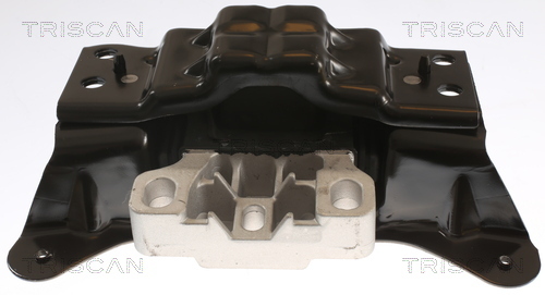 TRISCAN Lagerung, Motor