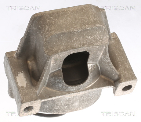 TRISCAN Lagerung, Motor