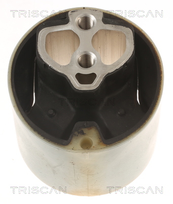 TRISCAN Lagerung, Automatikgetriebe