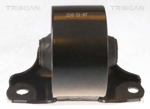 TRISCAN Lagerung, Motor