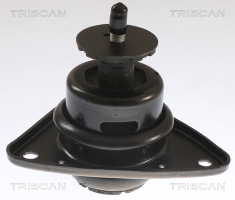 TRISCAN Lagerung, Motor