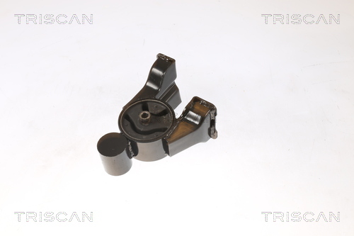 TRISCAN Lagerung, Motor
