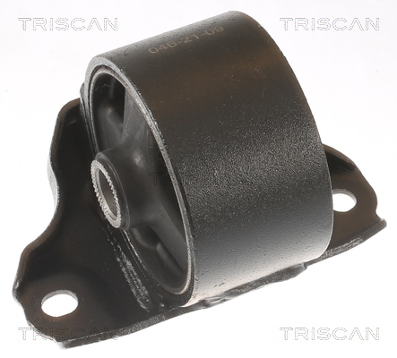 TRISCAN Lagerung, Motor