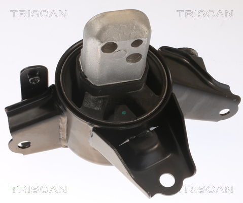 TRISCAN Lagerung, Motor