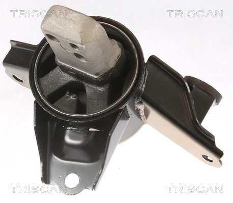 TRISCAN Lagerung, Motor