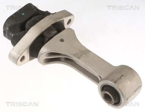 TRISCAN Lagerung, Motor