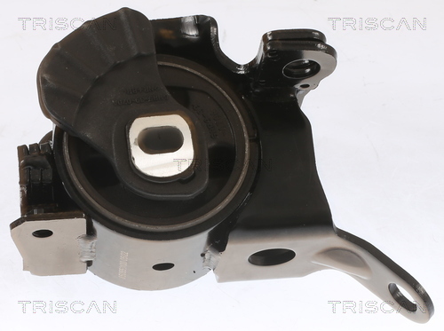 TRISCAN Lagerung, Motor