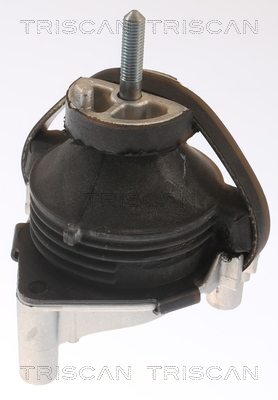 TRISCAN Lagerung, Motor