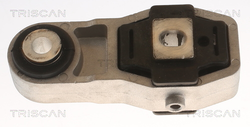 TRISCAN Lagerung, Motor