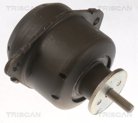 TRISCAN Lagerung, Motor