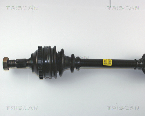 TRISCAN Antriebswelle