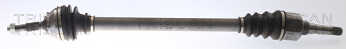 TRISCAN Antriebswelle