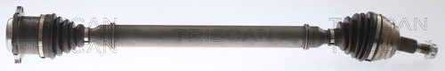 TRISCAN Antriebswelle