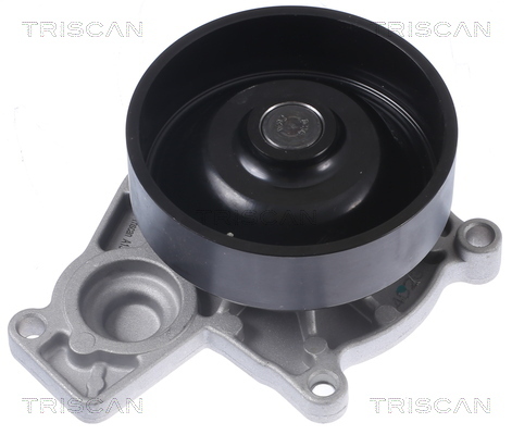 TRISCAN Wasserpumpe, Motorkühlung