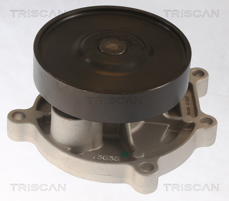 TRISCAN Wasserpumpe, Motorkühlung