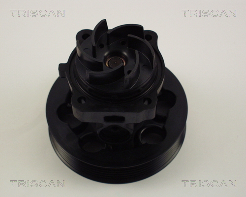 TRISCAN Wasserpumpe, Motorkühlung