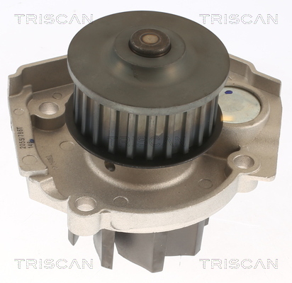 TRISCAN Wasserpumpe, Motorkühlung