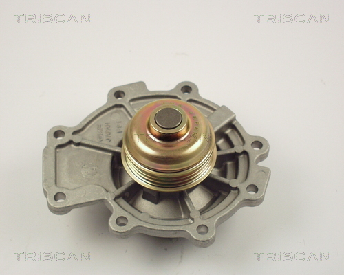 TRISCAN Wasserpumpe, Motorkühlung