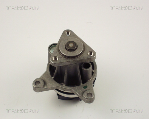 TRISCAN Wasserpumpe, Motorkühlung
