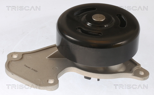 TRISCAN Wasserpumpe, Motorkühlung