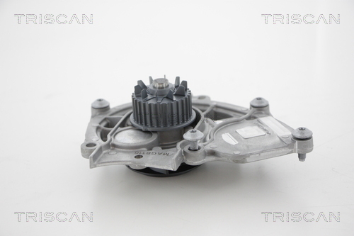 TRISCAN Wasserpumpe, Motorkühlung