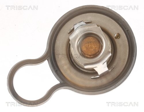 TRISCAN Thermostat, Kühlmittel