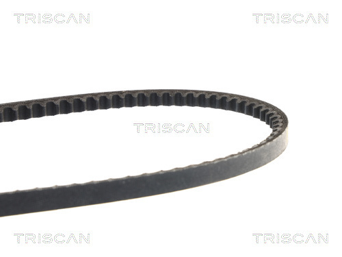 TRISCAN Keilriemen