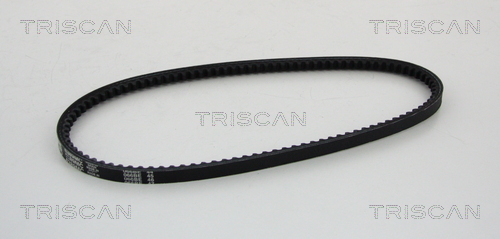 TRISCAN Keilriemen