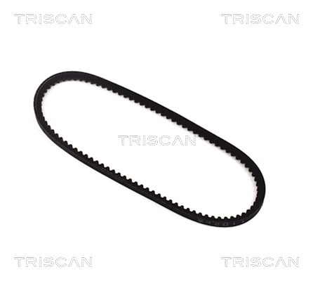 TRISCAN Keilriemen