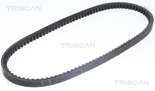 TRISCAN Keilriemen