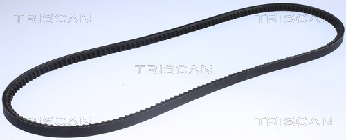 TRISCAN Keilriemen