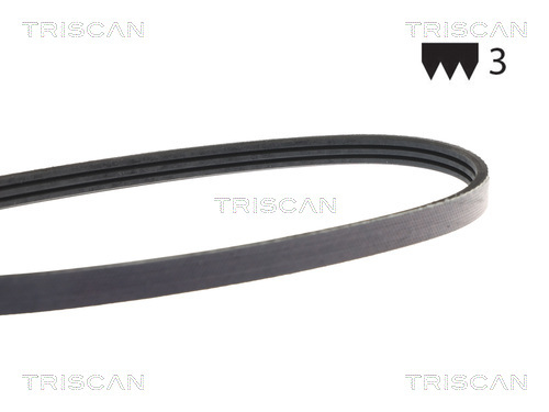 TRISCAN Keilrippenriemen