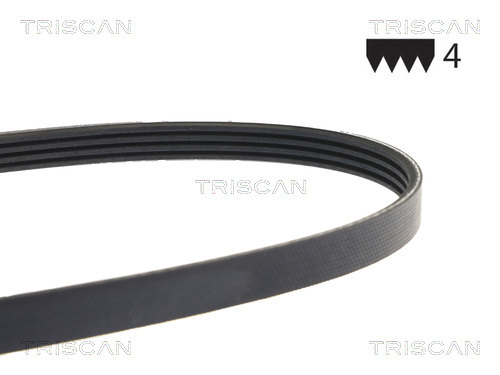 TRISCAN Keilrippenriemen