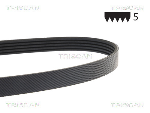 TRISCAN Keilrippenriemen