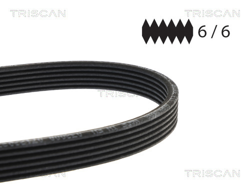 TRISCAN Keilrippenriemen