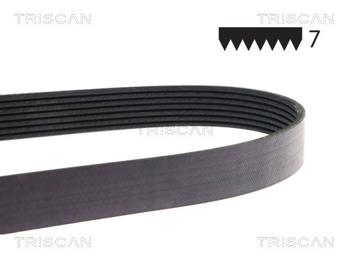 TRISCAN Keilrippenriemen