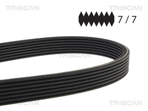TRISCAN Keilrippenriemen