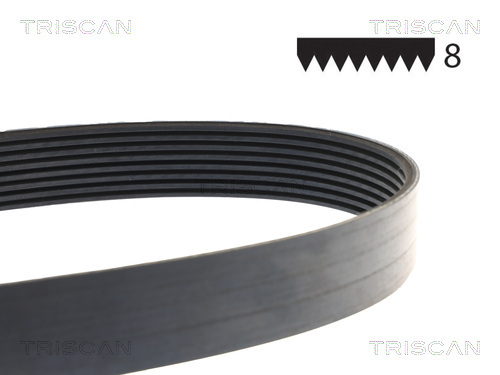TRISCAN Keilrippenriemen